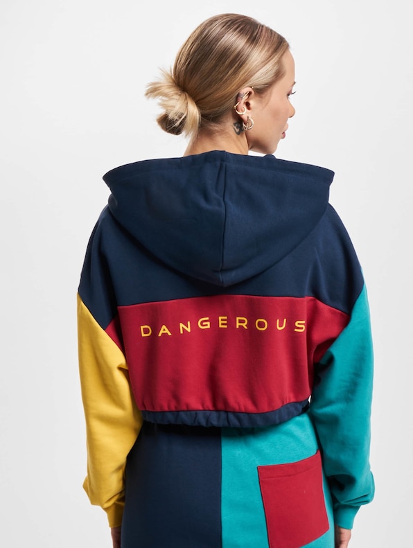 Dangerous DNGRS 4C Hoodies-1