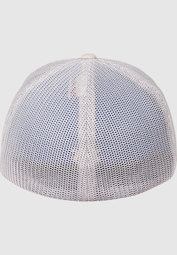 Mesh -1