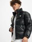 black_12281