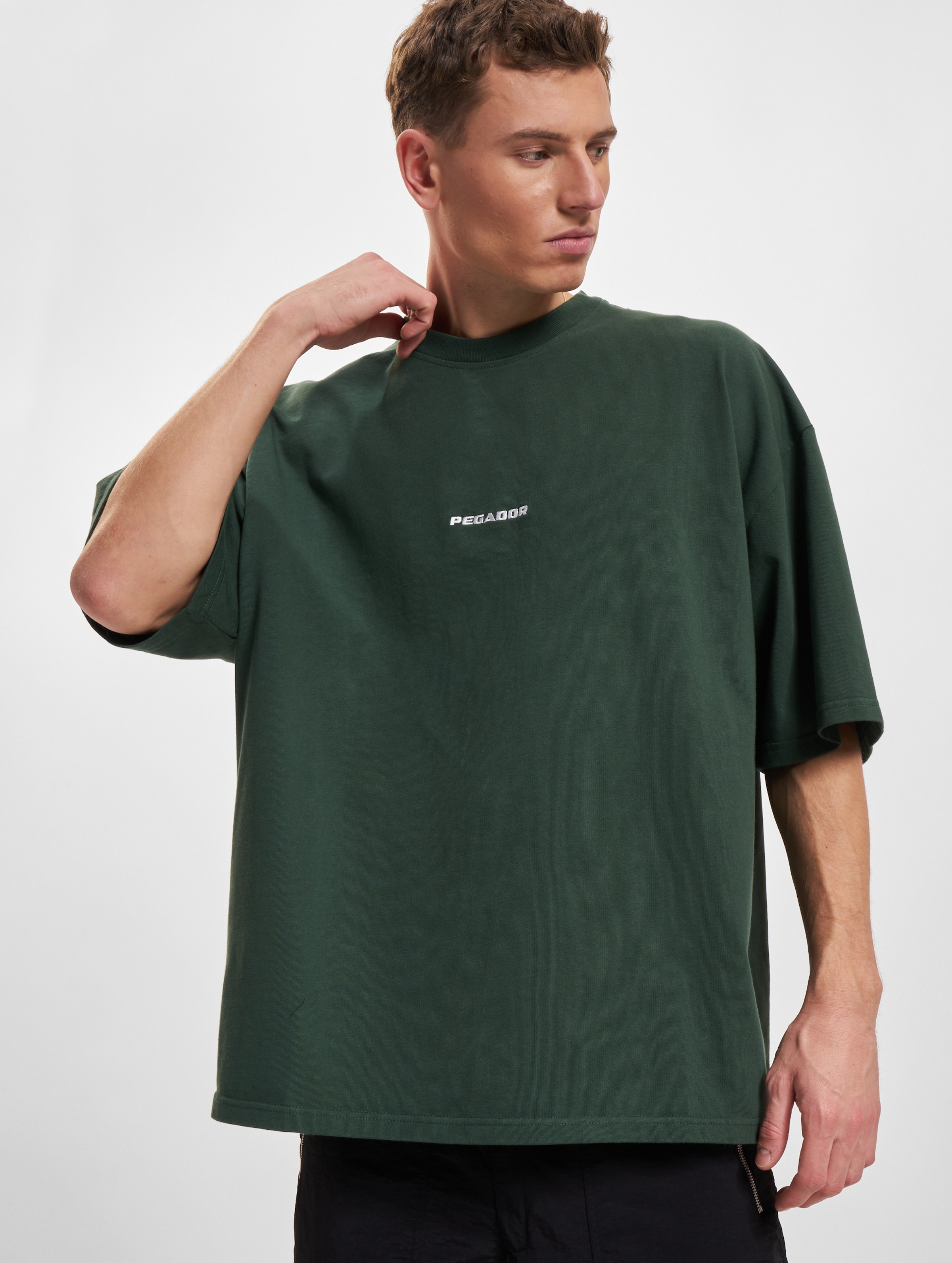 PEGADOR Pegador Logo Boxy T-Shirt Mannen op kleur groen, Maat L