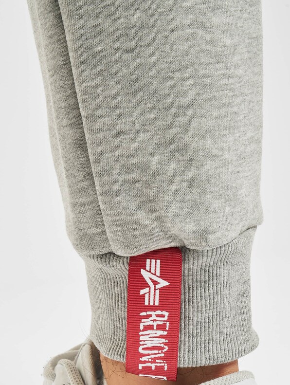 Alpha Industries Big Letters Sweat Pants-4