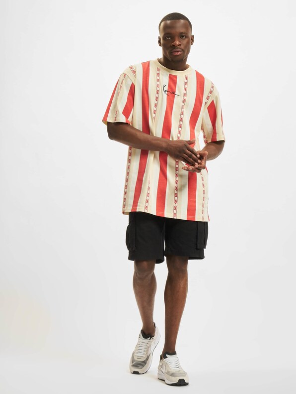 Small Signature Stripe-4