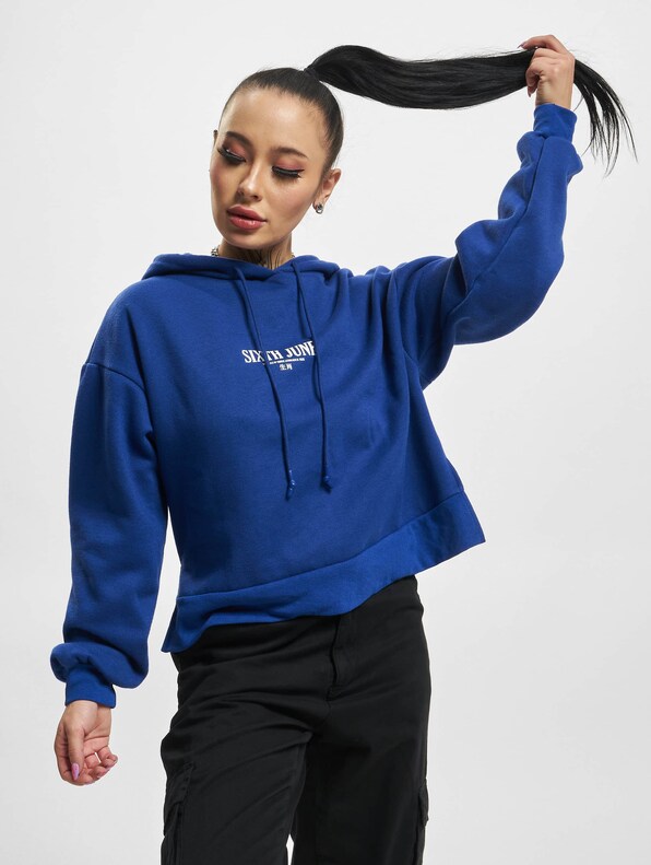 Chinese Zodiac Signs-0