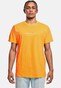 orange_119359