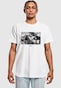 white_156109