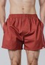 red_213005