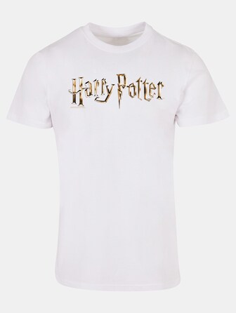 Harry Potter - Colour Logo Basic