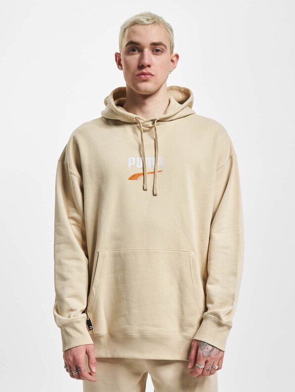 Puma Downtown Logo Tr Hoodie-2
