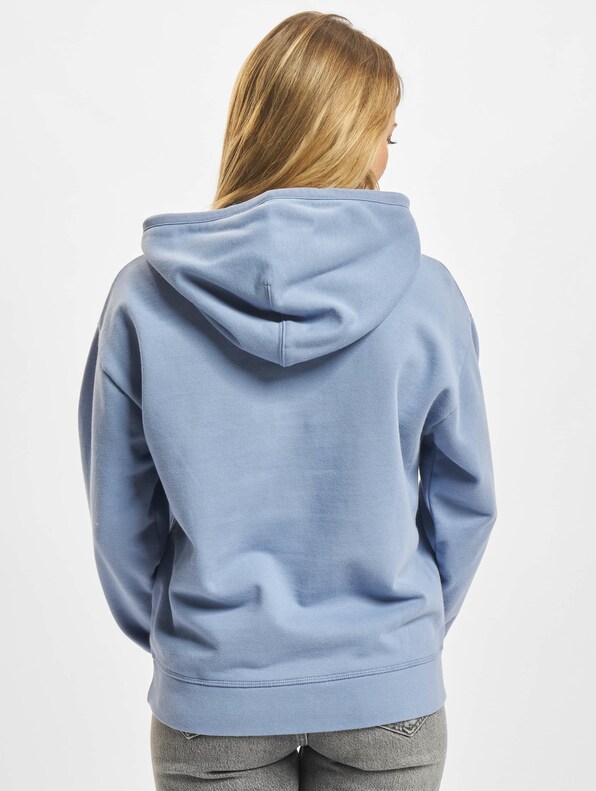 Levi's Standard Hoodies-1