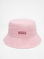 rose_124794
