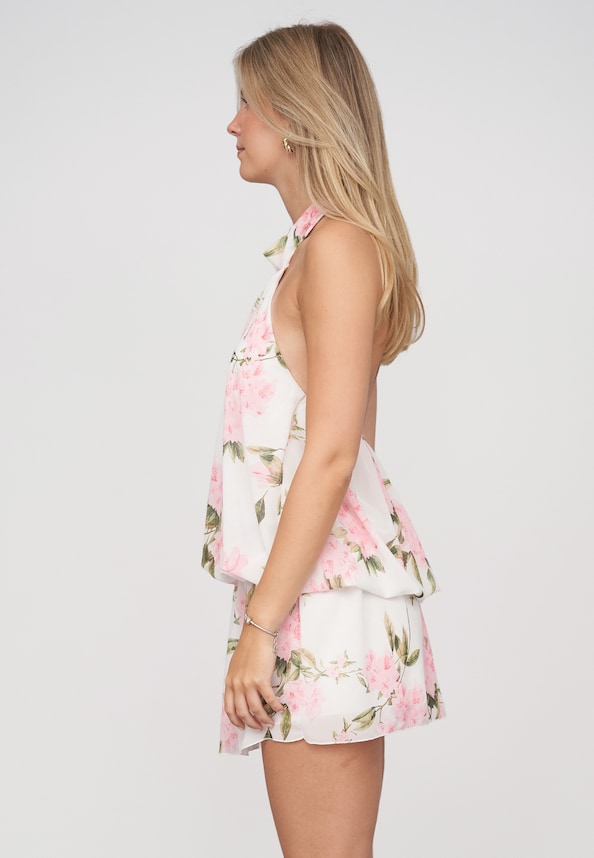 Chiffon Dress-2