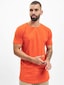 orange_3603