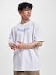 white_2836