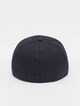 Pinstripe -1