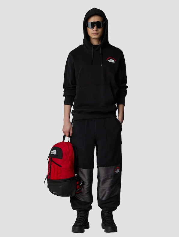 The North Face Expedition System Graphic Hoodies-3