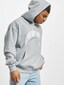 grey_19417