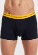 Boxer-4