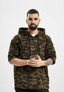 camouflage_20647