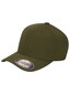olive_19771