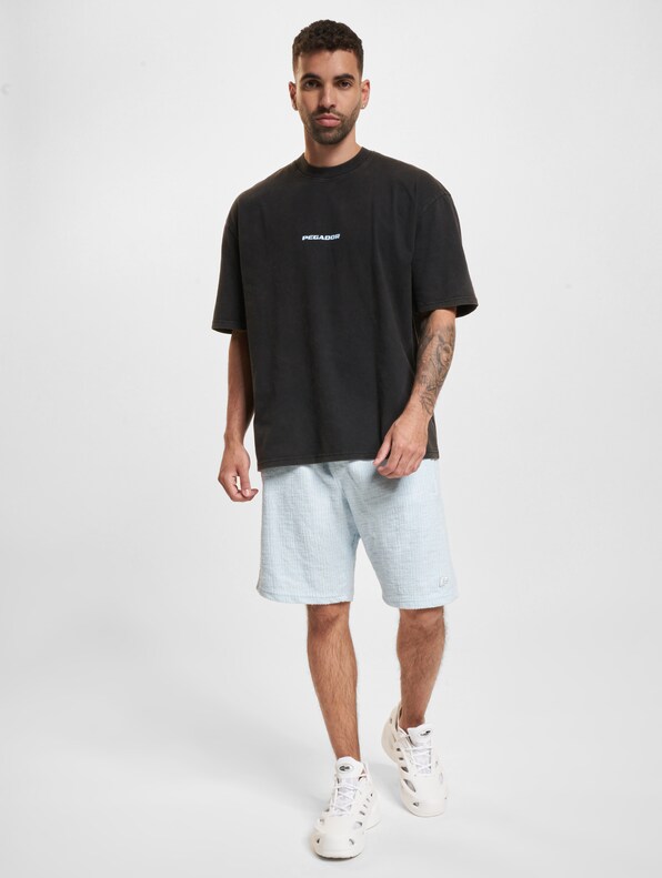 PEGADOR Colne Logo Oversized T-Shirts-5