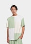 green_11283