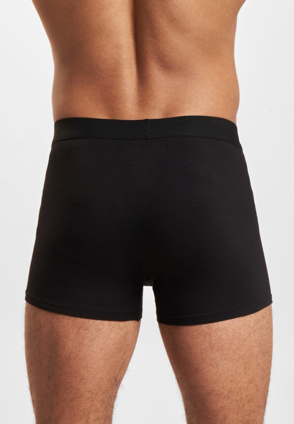 Camino Single Logo 3er Pack-1