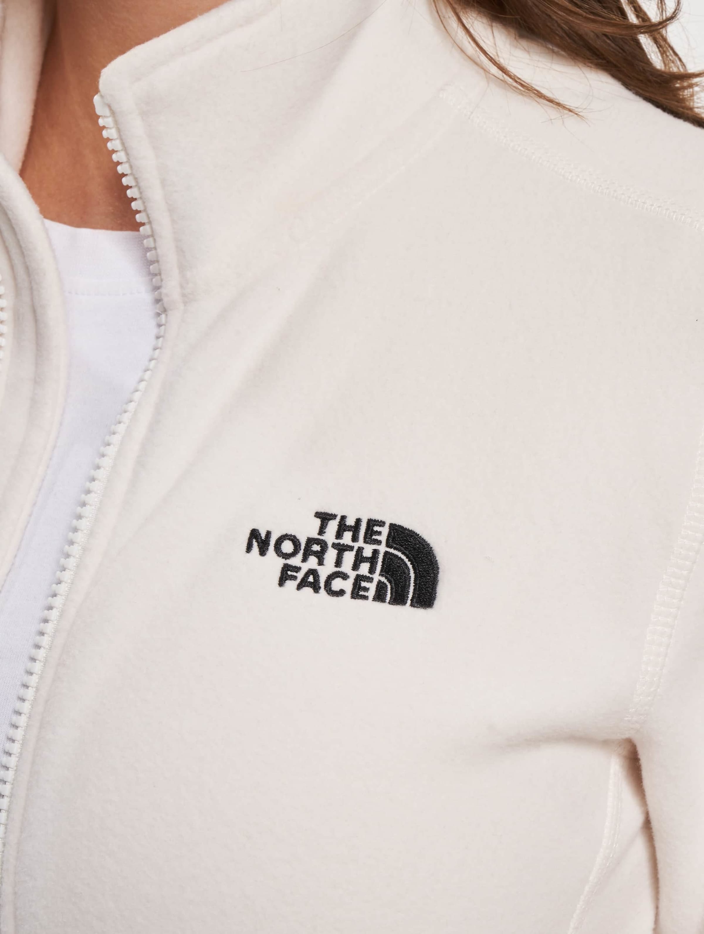 The north face 100 glacier full zip discount vest