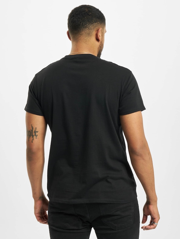 Linkin Park Distressed Logo -1