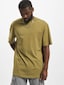 olive_11030