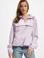 violet_8832