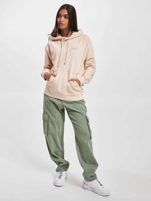 Levis Graphic Standard Hoodie-6