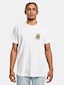 white_17433