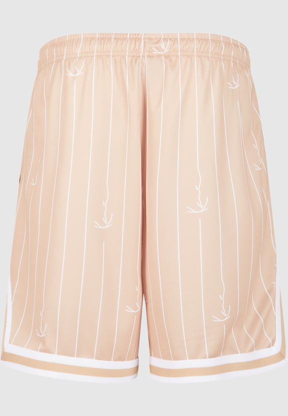 KM242-012-1 Karl Kani Small Varsity Logo Pinstripe Mesh Shorts-4