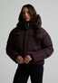 brown_209795