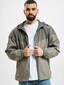 grey_8581