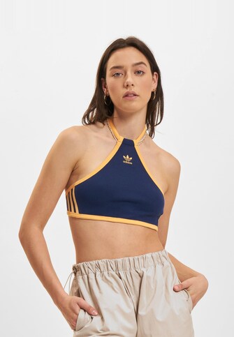 RIB 