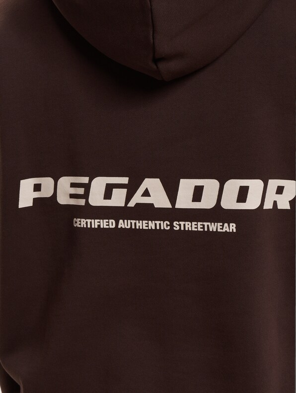 PEGADOR Colne Logo Oversized Hoodies-3