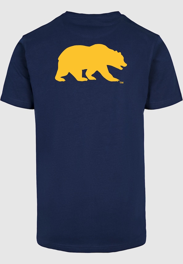 CAL Bear-3