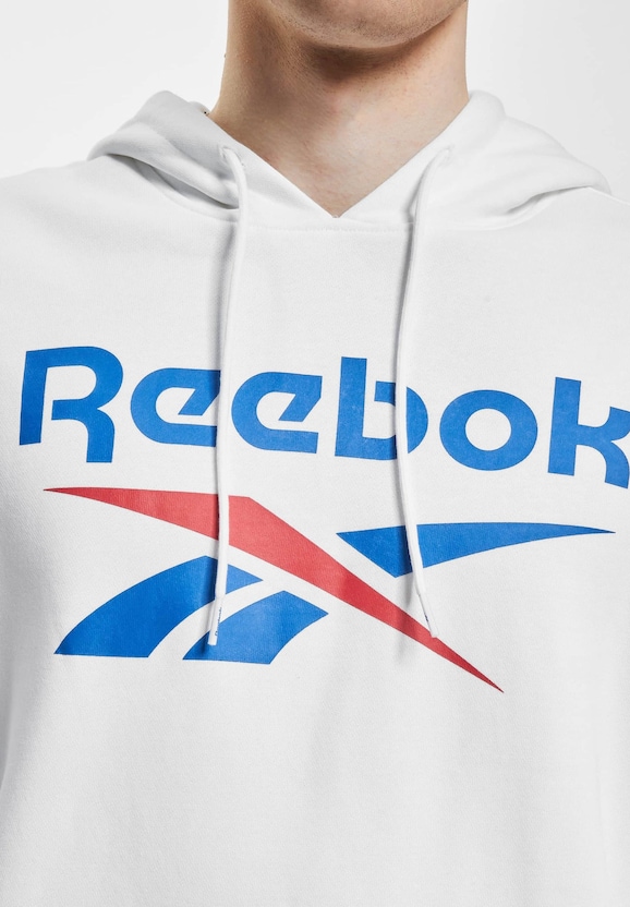 Ri Flc Big Logo-2