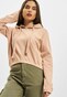 rose_9402