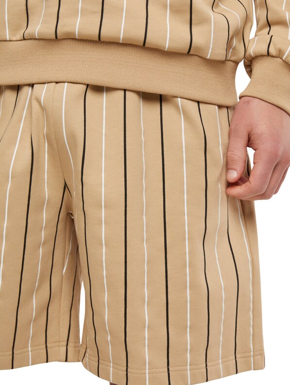 Urban Classics Printed Pinstripe Shorts-5