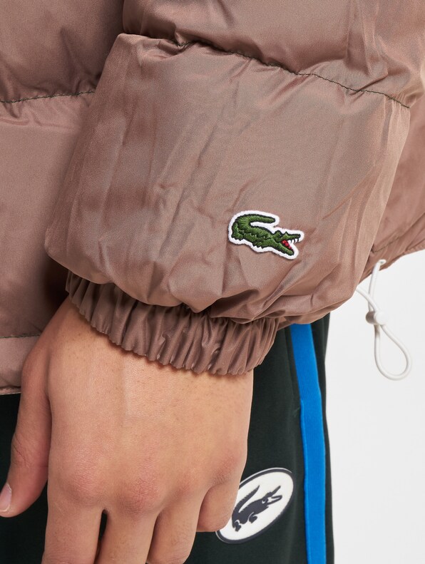 Reversible -4
