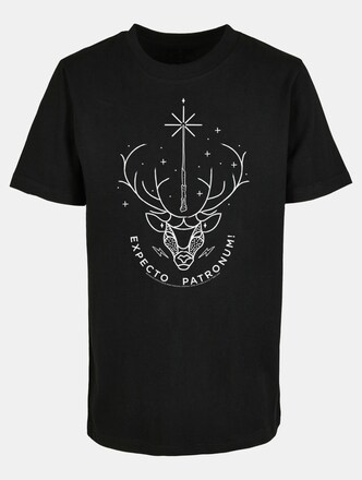 Harry Potter - Expecto Patronum Kids Basic