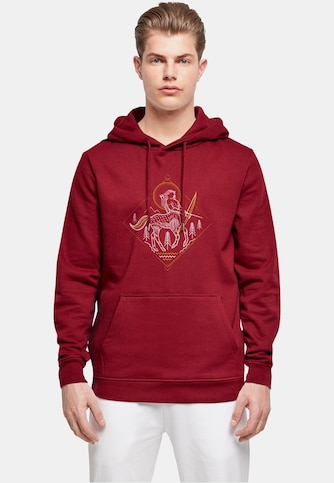 Harry Potter - Centaur Line Art Basic Hoody