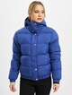 Ladies Hooded -2