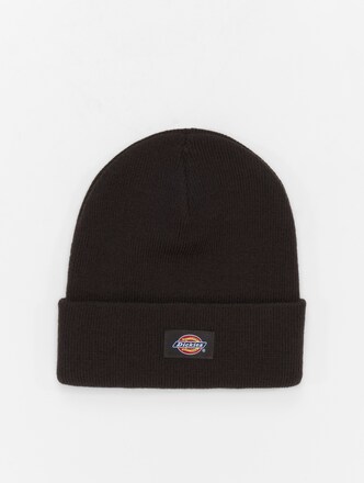 Dickies Gibsland Beanie