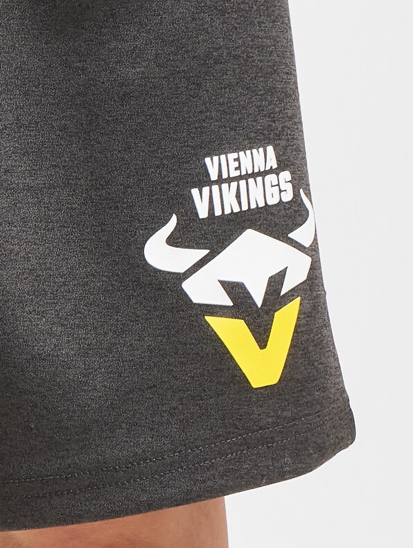 Vienna Vikings 1 -5