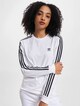  3 Stripes-0