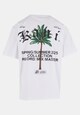 Palm Print-3