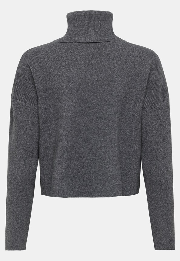 ONLAMA LIFE LS RIB ROLLNECK CC KNT-7